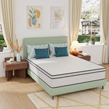 Catmint 12" Queen Innerspring Mattress
