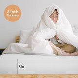 Artemisia 8" Cal. King, E.King, Full, & Queen Memory Foam Mattress