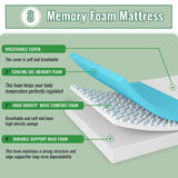 Coreopsis 8" Queen Memory Foam Wave Comfort