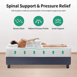 Forsythia 12" Queen Green Tea Gel Memory Foam