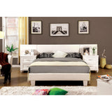 Winn Park Night Stand Pier