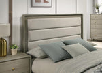 Rainier Queen Bedroom Set