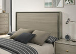 Rainier Bed Gray