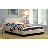 Evans Queen & Full Bed