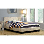 Evans Queen & Full Bed