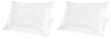 Zephyr 2.0 Cotton Pillow (Set of 2)