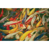 Koi Printed Canvas Painting - Basha Furniture