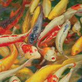 Koi Printed Canvas Painting - Basha Furniture