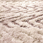 Millsboro Area Rug